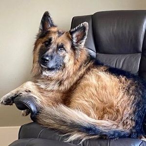 Meet your Posher, Arlene